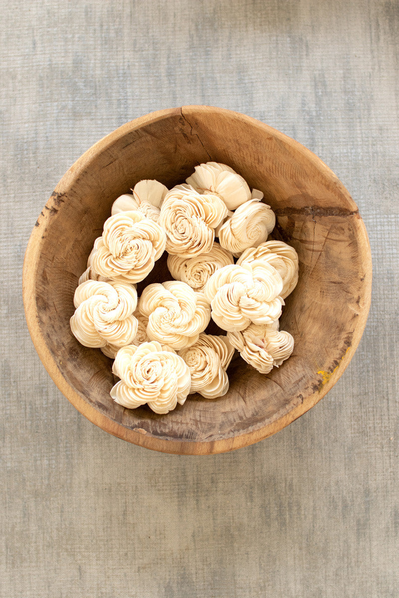 Bag of 16 Dried Shell Flowers