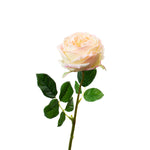 17" Real Touch English Rose