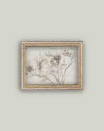 10x8 Rose Bush Art in Frame