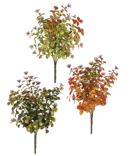 Mini Leaf Berry Bush