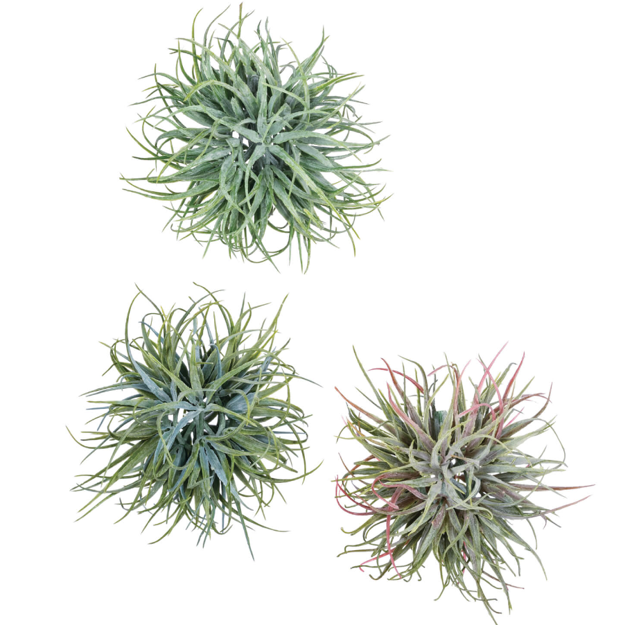 Air Grass Orb