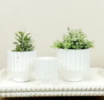White Ribbed Speckle Planter