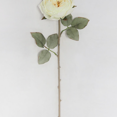 24" Estate Garden Dried Rose Stem