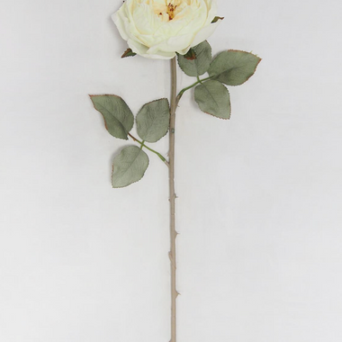 Estate Garden Dried Rose Stem