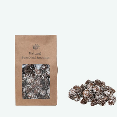 Dried Natural Pinecones in Printed Kraft Bag, Snow Finish