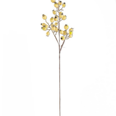 32" Cream Rosehip Stem