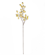 32" Cream Rosehip Stem