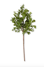 18" Real Touch Boxwood Pick