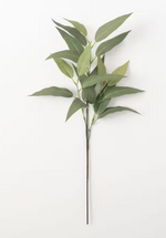 32" Eucalyptus Leaf Spray