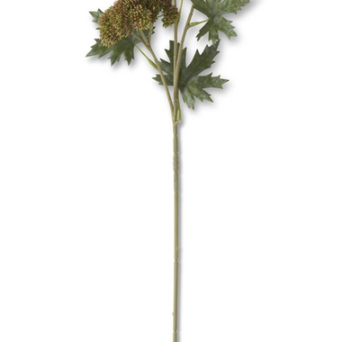 28" Dark Green Sedum Stem