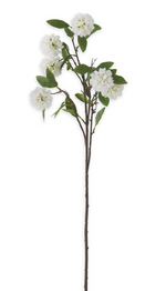 34" White Kerria Spray