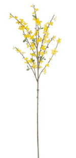 44" Forsythia Spray