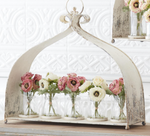 White with Pink Ranunculus in Glass Vase 6.75 Inch