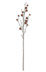41" Brown Pod Stem