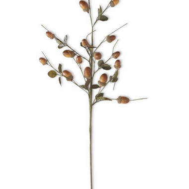 27" Brown Acorn Stem