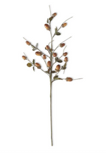 27" Brown Acorn Stem