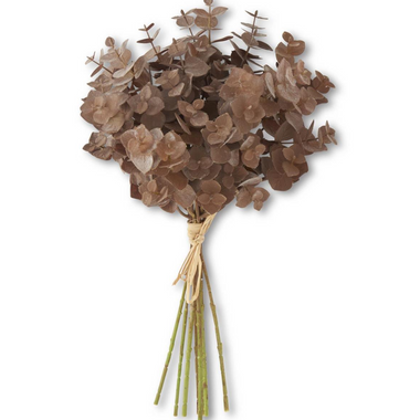 13.5" Brown Eucalyptus Bundle