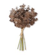 13.5" Brown Eucalyptus Bundle