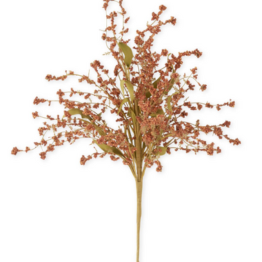 21" Orange Rust Seed Berry Bush