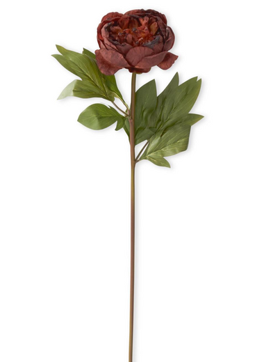 24" Faux Dried Peony Stem