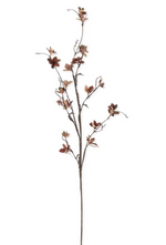 40" Brown Magnolia Blossom Spray