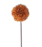 26" Autumn Allium