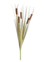 25" Cattail Stem