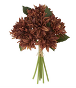 12" Dahlia Bundle