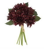 12" Dahlia Bundle