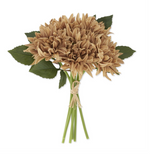 12" Dahlia Bundle
