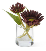 6.5" Burgundy Real Touch Sunflower in Glass Vase