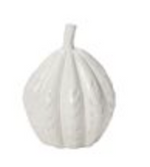 Garner Pumpkin