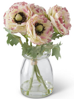 White with Pink Ranunculus in Glass Vase 6.75 Inch