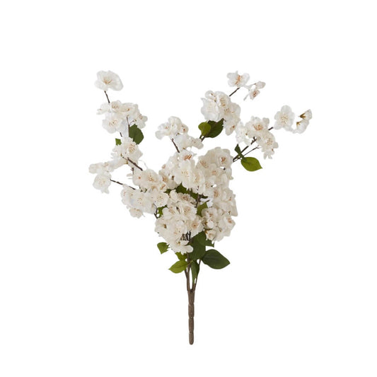 Peach Blossom Bush