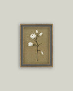 4x6 Tulip Stem Framed Art