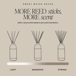 Coastal Lemon Reed Diffuser