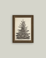 5x7 Vintage Pine Tree Framed Art