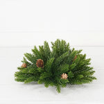 Evergreen Spruce with Birch Cones Half Sphere