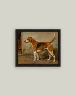 5x7 Fox Hound Framed Art