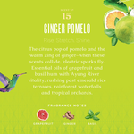 Ginger Pomelo Biodegradable Dish Soap with Bark & Aloe