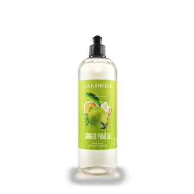 Ginger Pomelo Biodegradable Dish Soap with Bark & Aloe