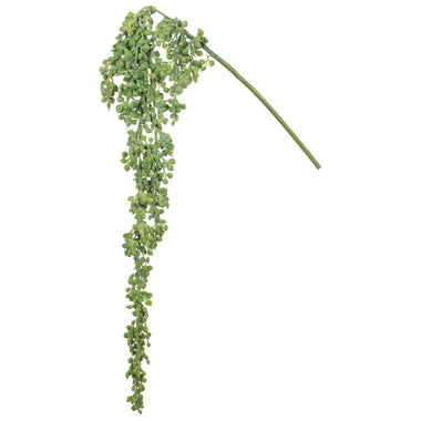 18" Hanging Succulent