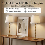 Diamond Stem Scalloped LED Lamp