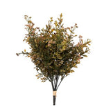 15" Boxwood with Berries