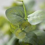 18" Grey Green Eucalyptus Bush