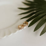 Brown & White Checkered Hoops