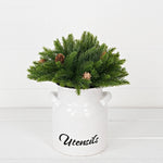 Evergreen Spruce with Birch Cones Half Sphere