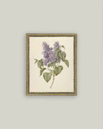 5x7 Lilac Branch Framed Art
