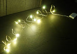 LED String Light with 12 Warm White Lights