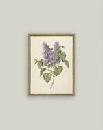 5x7 Lilac Branch Framed Art